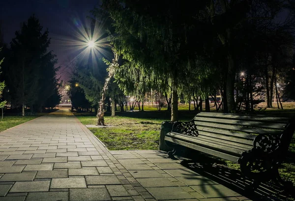 Ночной Городской Парк Деревянные Скамейки Фонари Зеленые Деревья Кафельная Дорога — стоковое фото