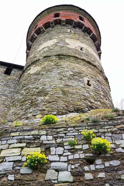 Gelbe Blumen Wachsen Der Historischen Steinmauer Der Alten Burg Blumen — Stockfoto