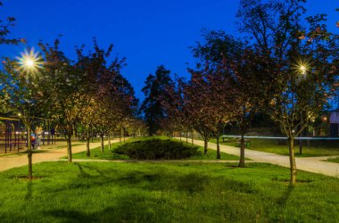 Gece parkındaki fayanslı yolda Japon kiraz ağaçları ve fenerler vardı. Geceleri yeşil parktaki banklar. Park yolunun aydınlatılması ve geceleri fenerli Sakura ağaçları. Park Kyoto