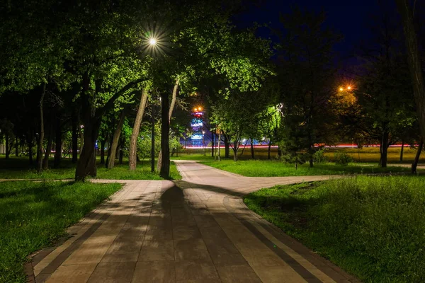 Estrada Ladrilhada Parque Verde Noite Com Lanternas Outono Bancos Parque — Fotografia de Stock