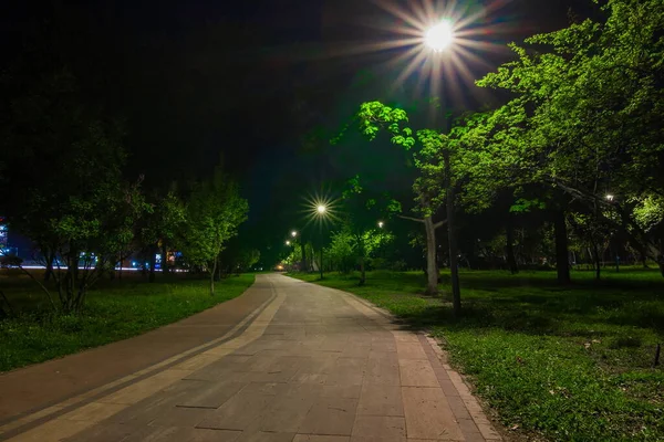 Die Geflieste Straße Nächtlichen Grünen Park Mit Laternen Herbst Bänke — Stockfoto