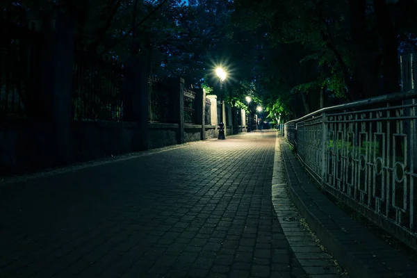 春天里 绿夜公园里铺满了灯笼的小路上 春天的夜晚 公园里的长椅 夜晚点着灯笼的公园路上的灯光 Mariinsky公园 乌克兰 — 图库照片