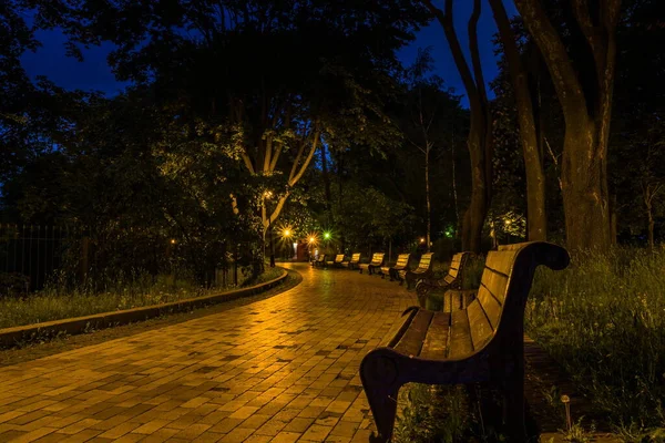 Camino Baldosas Parque Verde Noche Con Linternas Primavera Bancos Parque —  Fotos de Stock