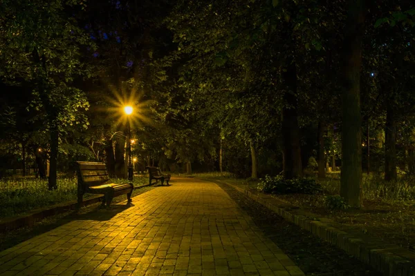 Kachlová Cesta Nočním Zeleném Parku Lucernami Jaře Lavičky Parku Během — Stock fotografie
