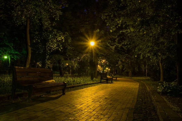 Estrada Ladrilhada Parque Verde Noite Com Lanternas Primavera Bancos Parque — Fotografia de Stock