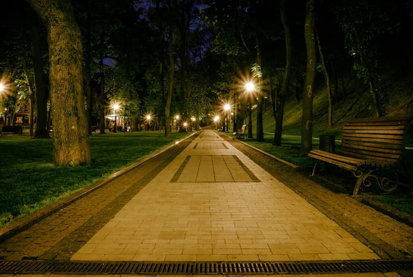 春の提灯付きの夜の緑の公園内のタイル張りの道路 春の夜に公園内のベンチ 夜になると提灯のついた公園道のイルミネーション マリリンスキー公園 ウクライナ — ストック写真