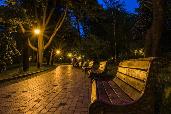 The tiled road in the night green park with lanterns in spring. A benches in the park during the spring season at night. Illumination of a park road with lanterns at night. Mariinsky Park. Ukraine