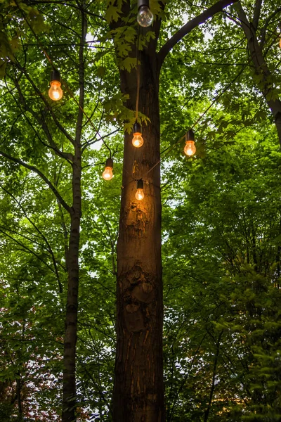 Fundo Desfocado Iluminação Quintal Luz Jardim Dia Lanternas Elétricas Com — Fotografia de Stock