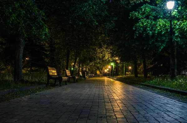 Плиточная Дорога Ночном Зеленом Парке Фонарями Весной Скамейки Парке Течение — стоковое фото