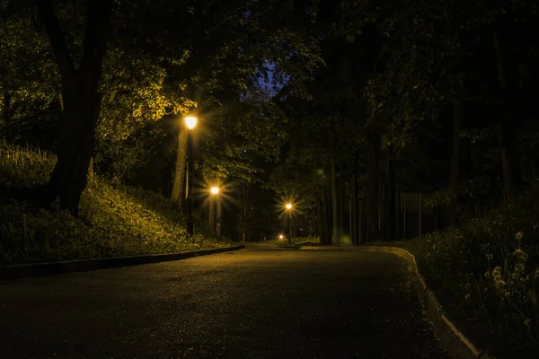 Estrada Ladrilhada Parque Verde Noite Com Lanternas Primavera Bancos Parque — Fotografia de Stock