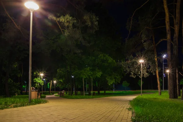 Camino Baldosas Parque Verde Noche Con Linternas Primavera Bancos Parque —  Fotos de Stock