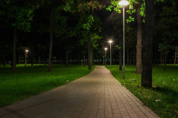 Camino Baldosas Parque Verde Noche Con Linternas Primavera Bancos Parque —  Fotos de Stock