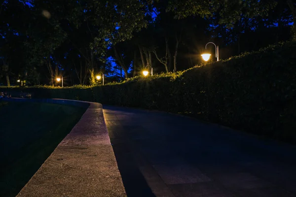 Camino Azulejos Parque Verde Noche Con Linternas Verano Bancos Parque — Foto de Stock