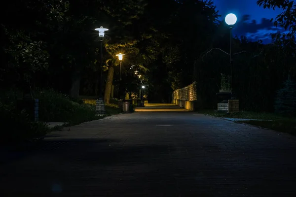 夏の提灯付きの夜の緑の公園のタイル張りの道 夏の季節には夜に公園でベンチ 提灯付きの公園道路の照明 永遠の栄光の園 ウクライナ — ストック写真