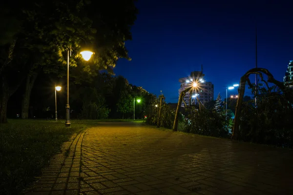 Den Kaklade Vägen Den Nattgröna Parken Med Lyktor Sommaren Bänkar — Stockfoto