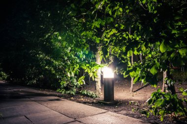 Yazın fenerlerle dolu yeşil parktaki fayanslı yol. Geceleri yaz mevsiminde parktaki banklar. Fenerli bir park yolunun aydınlatılması. Sonsuz Zafer Parkı. Ukrayna