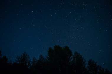 Ağaçların tepesinde gece yıldızlı gökyüzü. Dünya 'dan gelen açık uzayın görüntüsü.