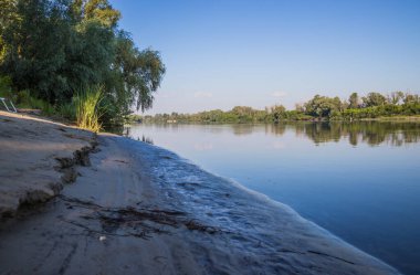 Sabahları nehir kenarında bastonlu ve ağaçlı bir nehir. Sakin ve açık bir yaz sabahında sabah nehri kıyısında. Desna Nehri. Ukrayna