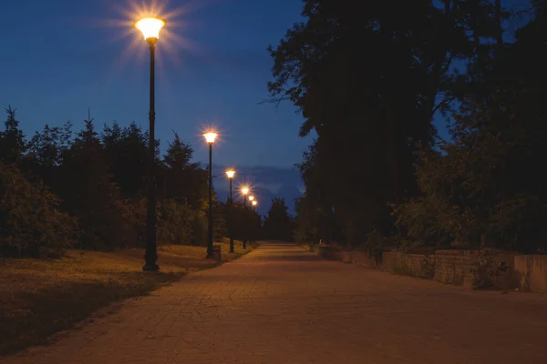 Дорога Нічному Зеленому Парку Ліхтарями Влітку Парку Під Час Літнього — стокове фото