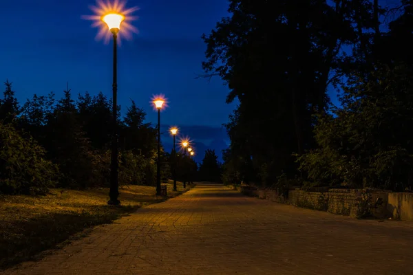 Camino Azulejos Parque Verde Noche Con Linternas Verano Bancos Parque — Foto de Stock