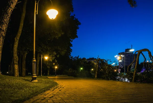 Csempe Éjszakai Zöld Park Lámpások Nyáron Este Padok Parkban Nyári — Stock Fotó