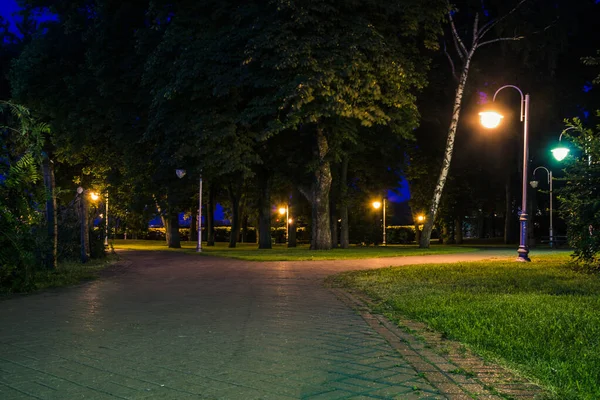 Camino Azulejos Parque Verde Noche Con Linternas Verano Bancos Parque — Foto de Stock