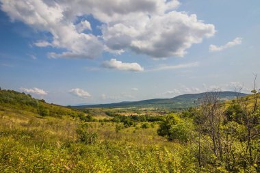 Dağların eteğinde küçük bir kasaba. Dağlar arasında bir vadide köy. Yazın dağdan vadiye manzara. Kırsal alan. Evlerin kırmızı çatıları. Carpathian, Ukrayna, Avrupa