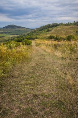 Dağlarda şafak vakti. Şafak vakti dağlarda yol var. Güneş dağların ardından doğuyor. Güzel yeşil ve sarı tepeler. Renkli bulutlu bir gökyüzü. Sisin içindeki dağlar. Karpatlar, Ukrayna,