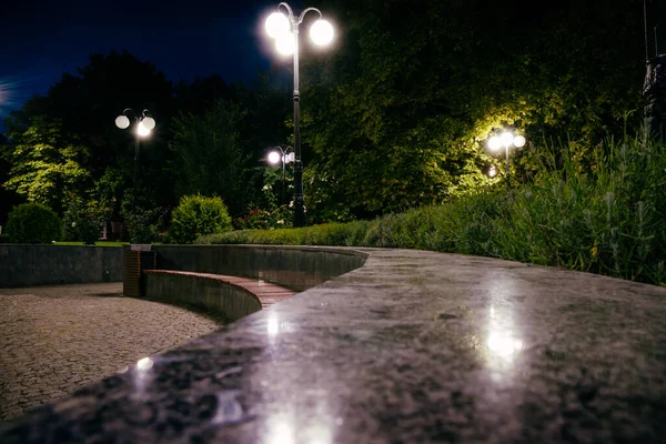 夏日的夜晚 绿色的公园里 铺满了灯笼 铺满了瓷砖 夏天的夜晚 公园里的长椅 公园路灯笼的照明 — 图库照片