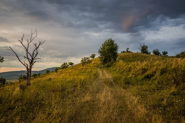 Úsvit Horách Cesta Horách Úsvitu Slunce Vychází Zpoza Hor Nádherné — Stock fotografie