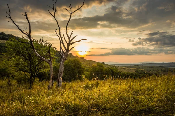 Úsvit Horách Slunce Vychází Zpoza Hor Krásné Zelené Kopce Zelené — Stock fotografie