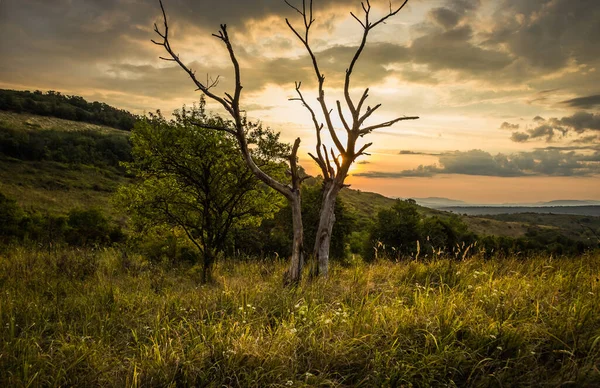 Úsvit Horách Slunce Vychází Zpoza Hor Krásné Zelené Kopce Zelené — Stock fotografie