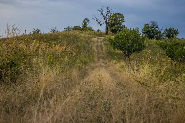 Úsvit Horách Cesta Horách Úsvitu Slunce Vychází Zpoza Hor Nádherné — Stock fotografie