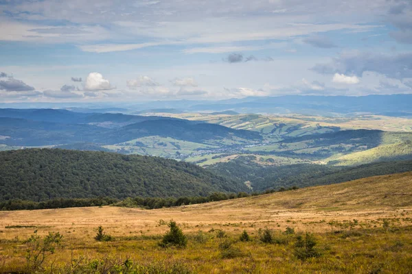 Moorland yamacı dramatik gökyüzü altında geniş çimenli tepe alçak çalılar ve yalnız kozalaklılarla kaplı uzak vadide hareket eden bulut gölgeleri, sessiz altın.