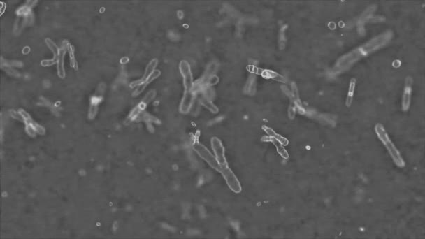 De chromosomen worden door een hoog gezoomde elektronenmicroscoop geschoten. 3d gemaakt tv-concept — Stockvideo