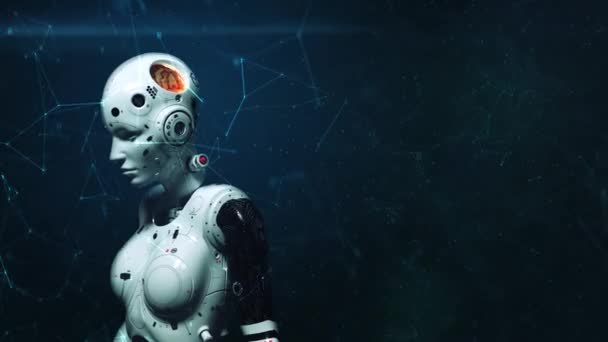 Kobieta Robot Sci Kobieta Animacja Cyfrowego Świata Przyszłości Sieci Neuronowych — Wideo stockowe
