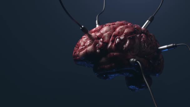 Intelligenza Artificiale Immagine Del Cervello Con Diversi Dachik Esso Collegati — Video Stock