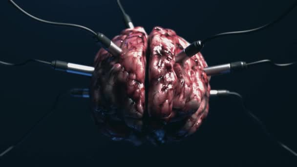 人工智能 大脑的正面图像 具有不同的与之相连的大脑皮层 传送或接收数据信号 — 图库视频影像
