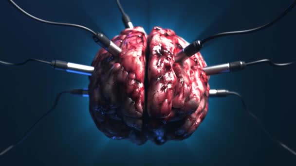 Kunstmatige Intelligentie Frontaal Beeld Van Hersenen Met Verschillende Dachiks Verbonden — Stockvideo
