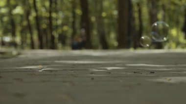 Ormanın arka planında sabun köpükleri var. Çekimler baloncukların yere nasıl düştüğünü gösteriyor.