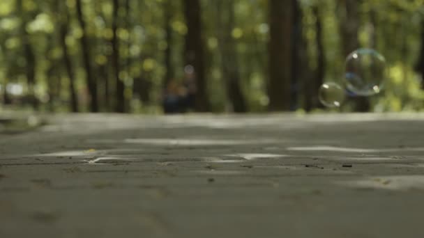 Soap Bubbles Background Forest Filming Shows How Bubbles Fall Ground — Stock Video