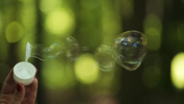 在森林的背景下 肥皂泡被拍成电影 说明了肥皂泡是如何膨胀的 — 图库视频影像