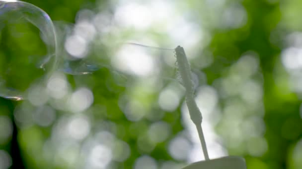 在森林的背景下 肥皂泡被拍成电影 说明了肥皂泡是如何膨胀的 — 图库视频影像