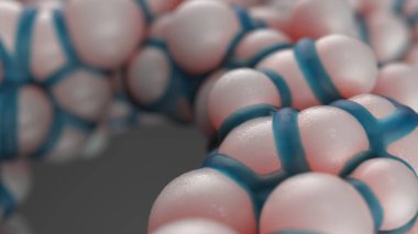 mikrobiyoloji ve vücudun farklı biyolojik formları hakkında bir resim.