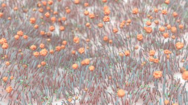 mikrobiyoloji ve vücudun farklı biyolojik formları hakkında bir resim.