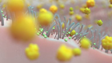 mikrobiyoloji ve vücudun farklı biyolojik formları hakkında bir resim.