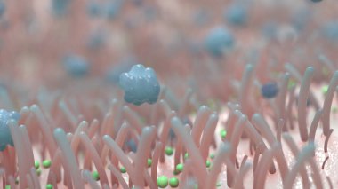 mikrobiyoloji ve vücudun farklı biyolojik formları hakkında bir resim.