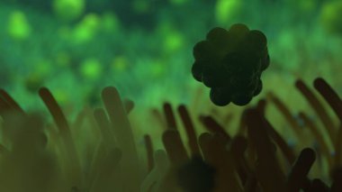 mikrobiyoloji ve vücudun farklı biyolojik formları hakkında bir resim.