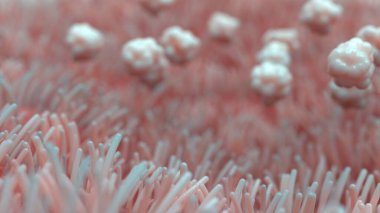 biyoloji ve virüsler üzerine mikroorganizmalar