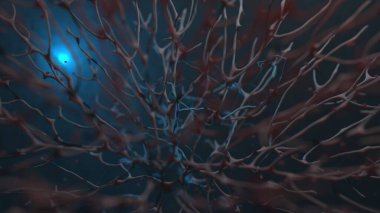 Organik dokunun dolaşım sistemi makro görüntüsü